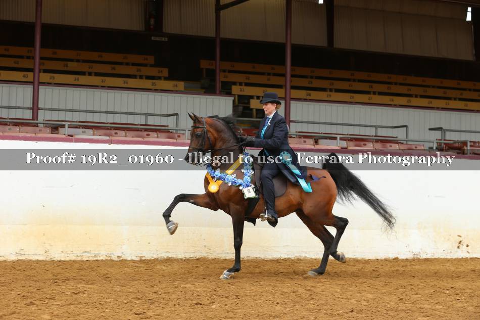 Proof 19R2_01960