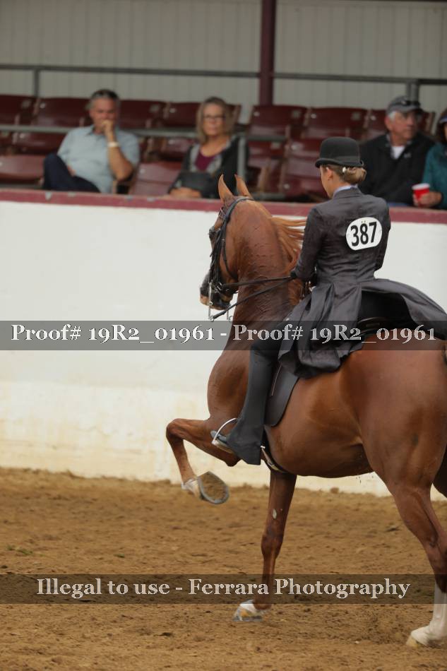Proof 19R2_01961