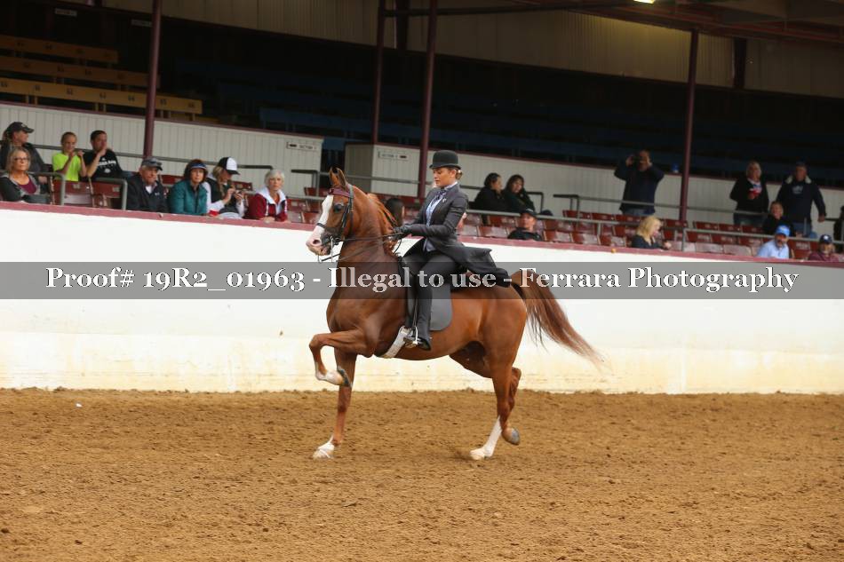 Proof 19R2_01963