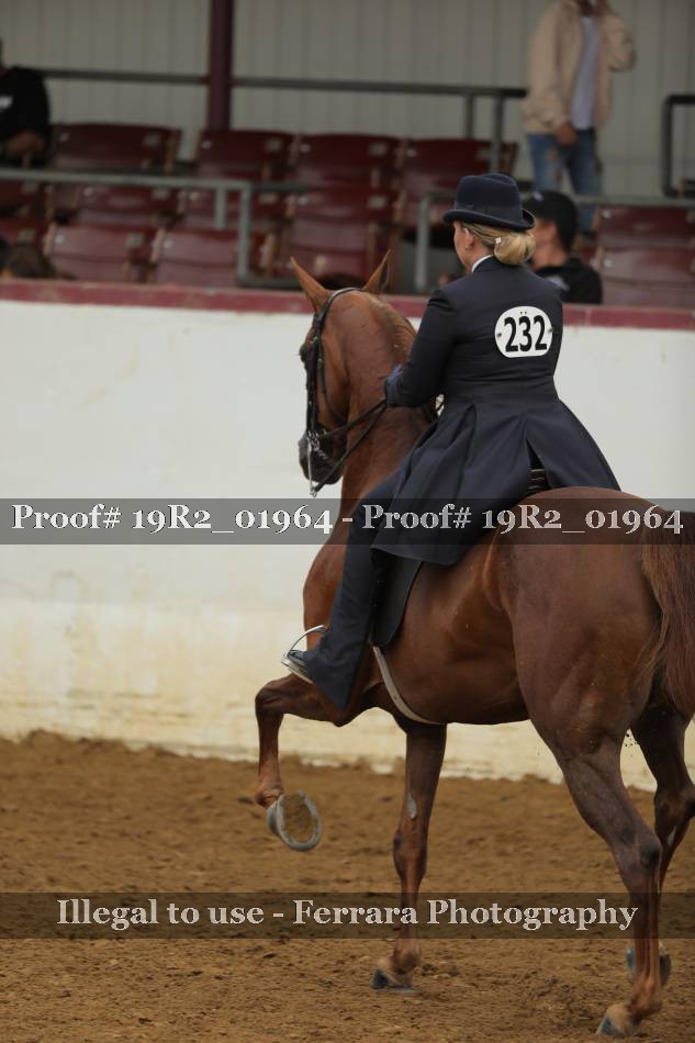 Proof 19R2_01964