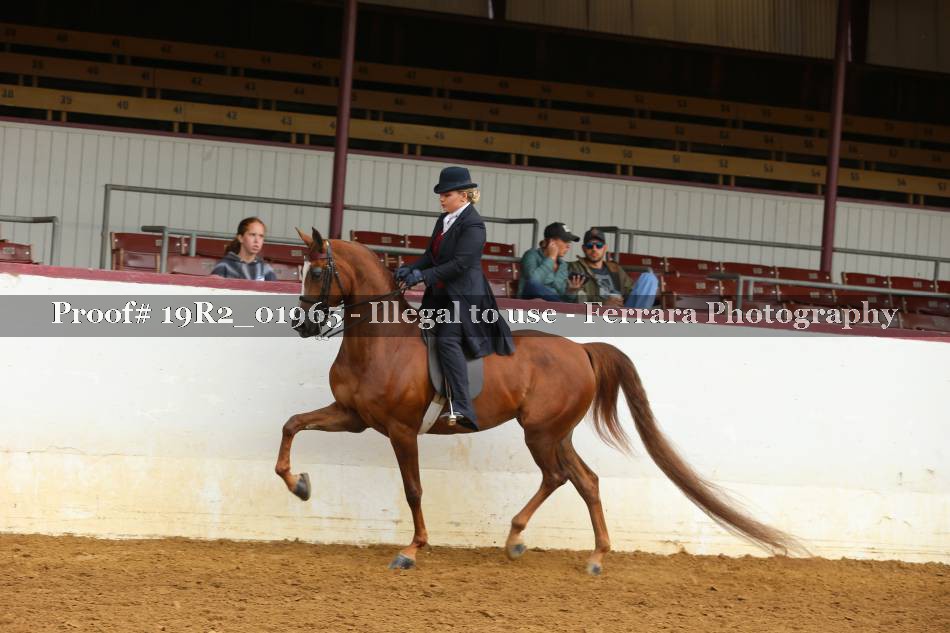 Proof 19R2_01965