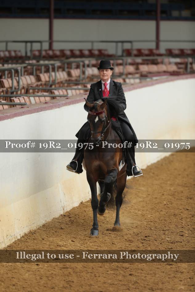 Proof 19R2_01975
