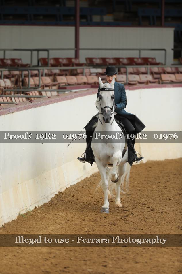 Proof 19R2_01976