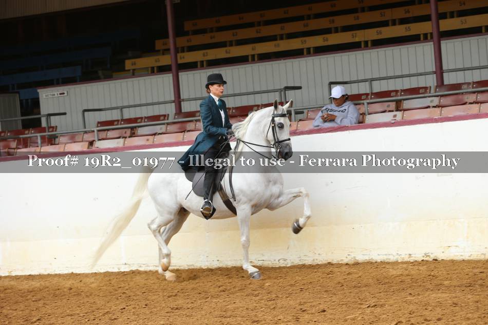Proof 19R2_01977