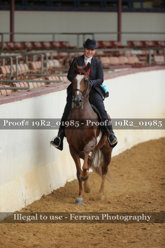 Proof 19R2_01985