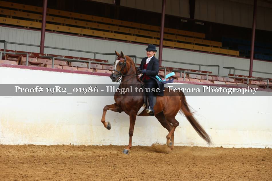 Proof 19R2_01986