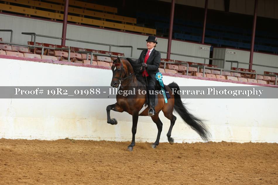 Proof 19R2_01988