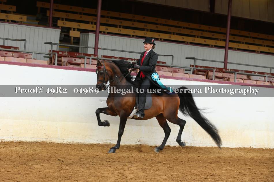 Proof 19R2_01989