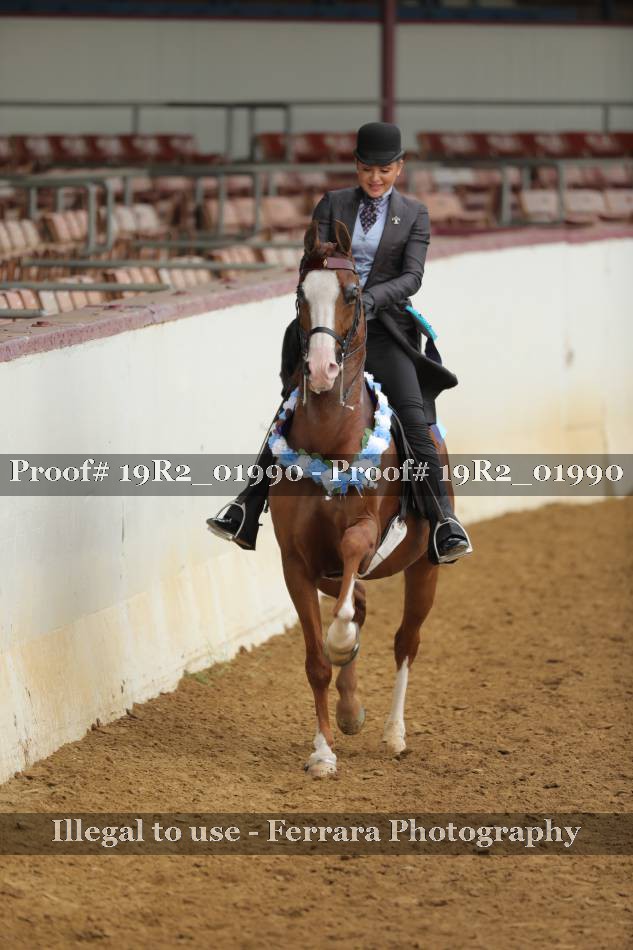 Proof 19R2_01990
