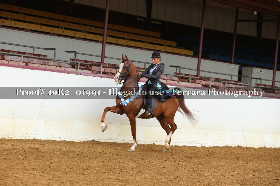 Proof 19R2_01991