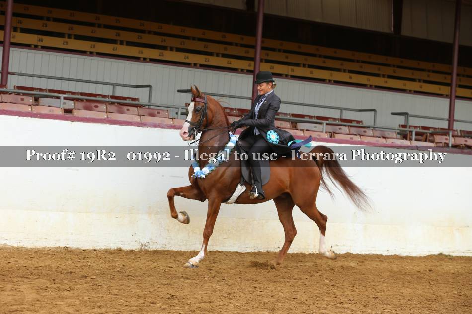 Proof 19R2_01992