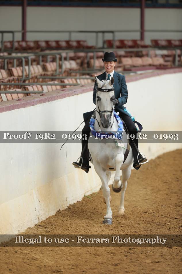 Proof 19R2_01993