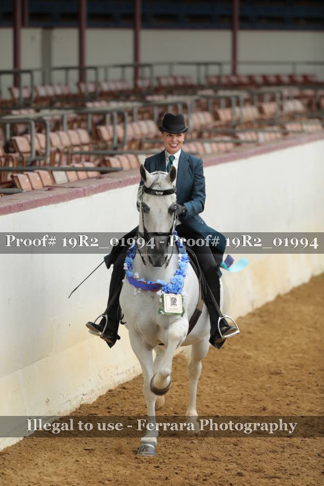 Proof 19R2_01994