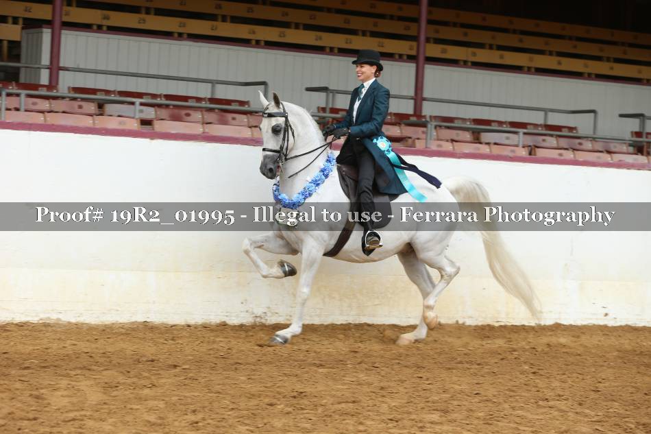 Proof 19R2_01995