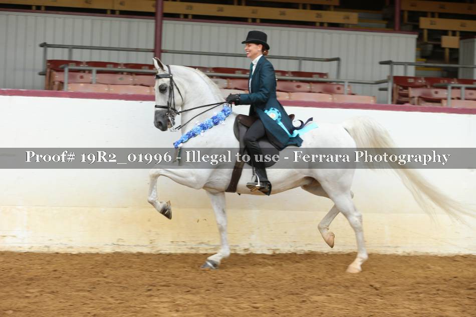 Proof 19R2_01996