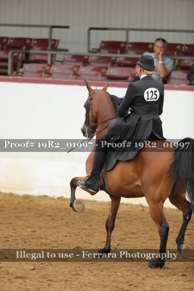 Proof 19R2_01997