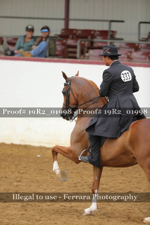 Proof 19R2_01998