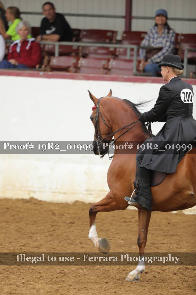 Proof 19R2_01999