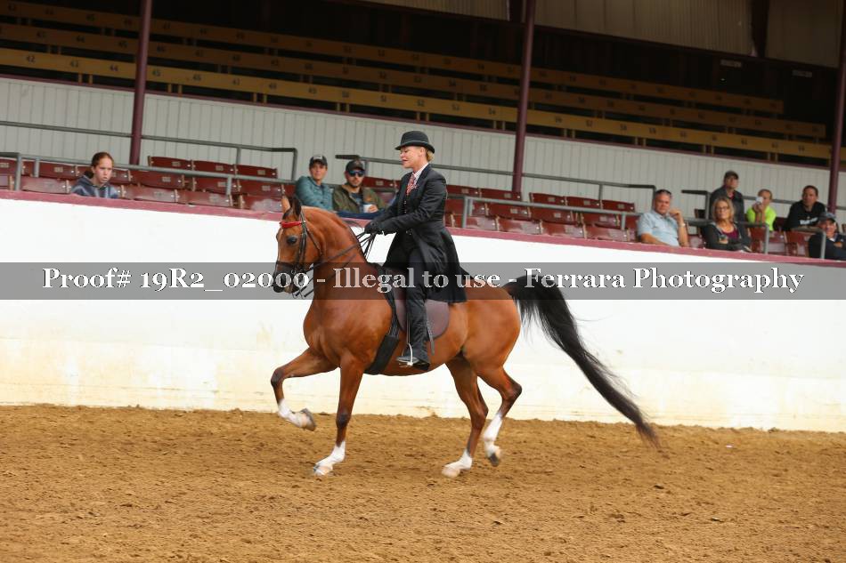 Proof 19R2_02000