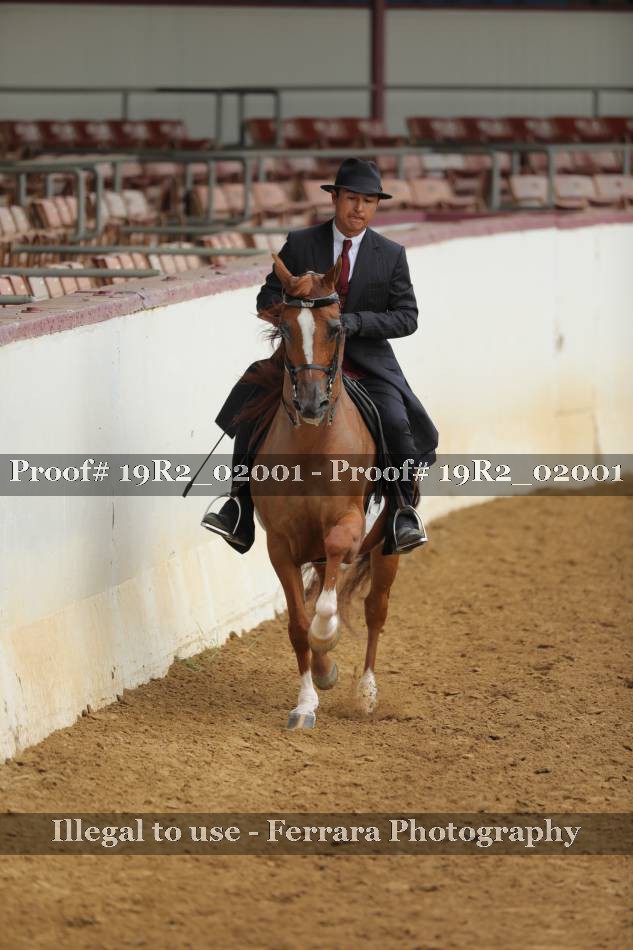 Proof 19R2_02001