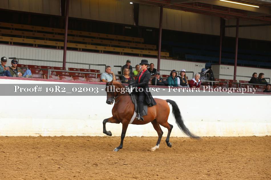 Proof 19R2_02003