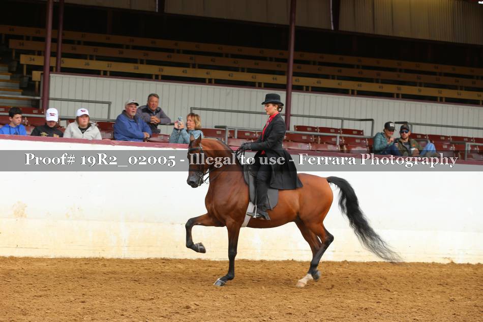 Proof 19R2_02005