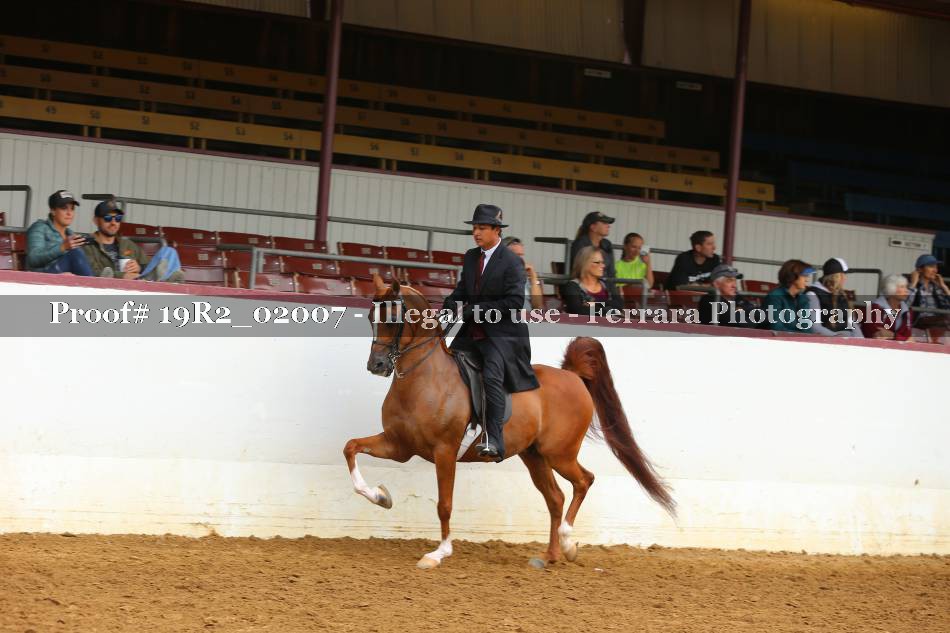 Proof 19R2_02007