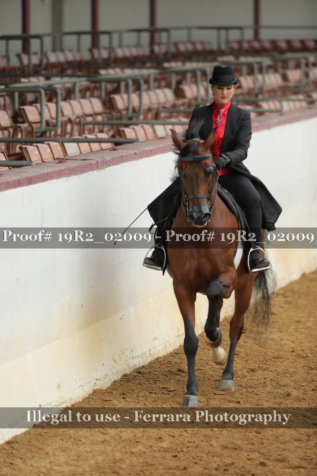 Proof 19R2_02009