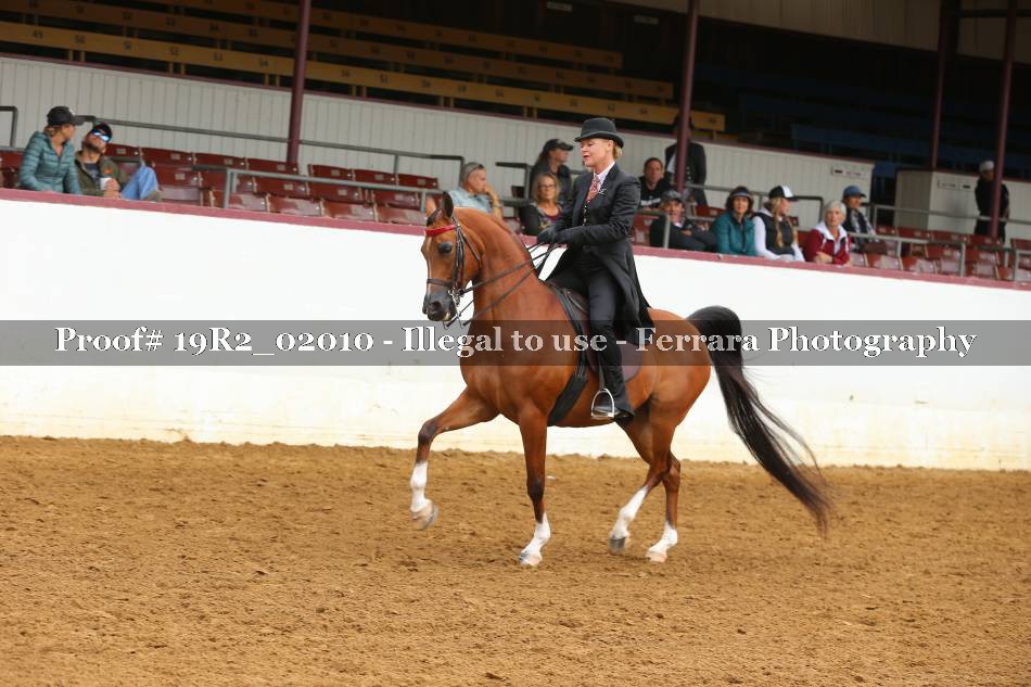 Proof 19R2_02010