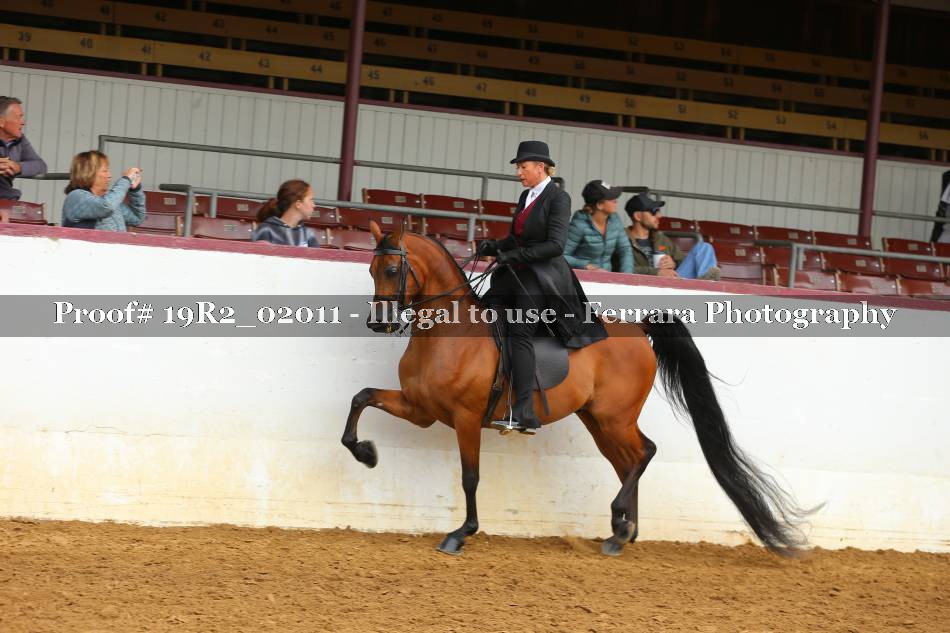 Proof 19R2_02011
