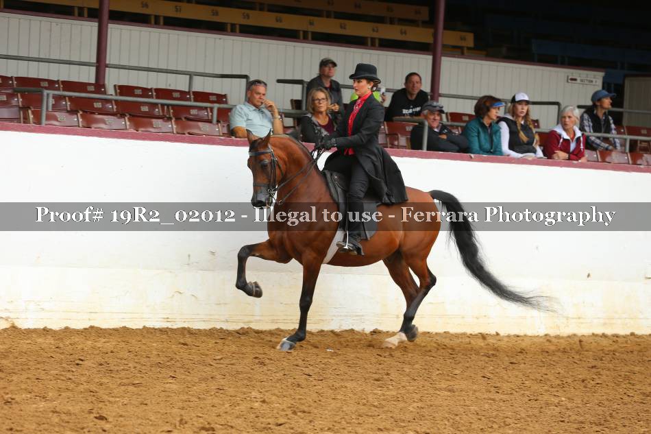 Proof 19R2_02012