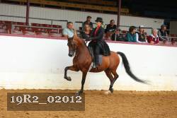 19R2_02012 proof