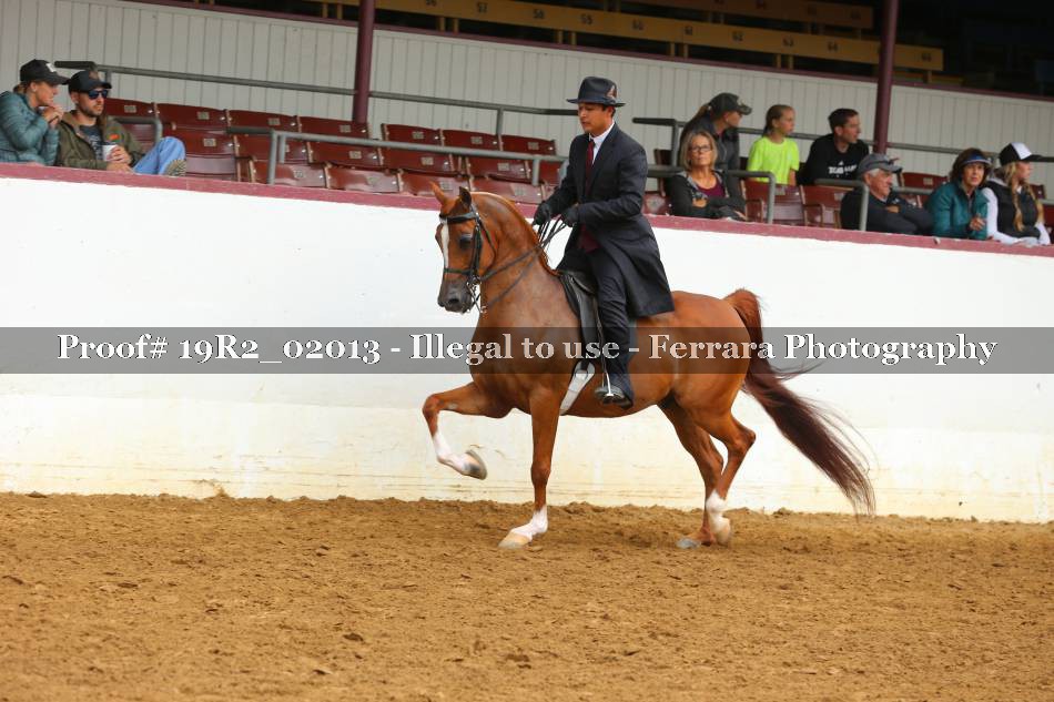 Proof 19R2_02013