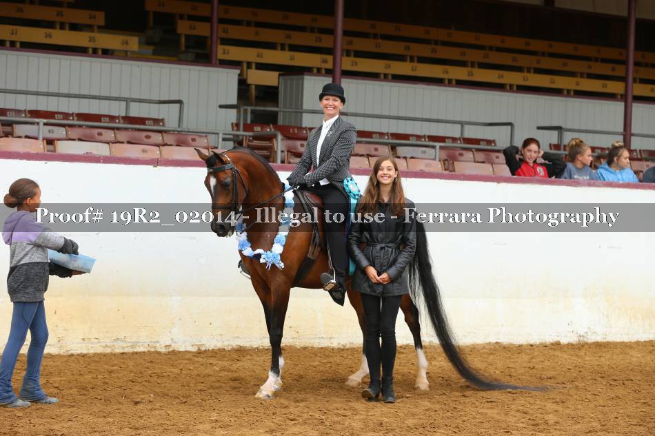 Proof 19R2_02014