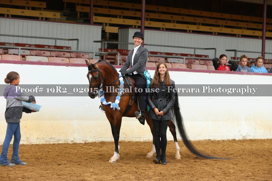 Proof 19R2_02015
