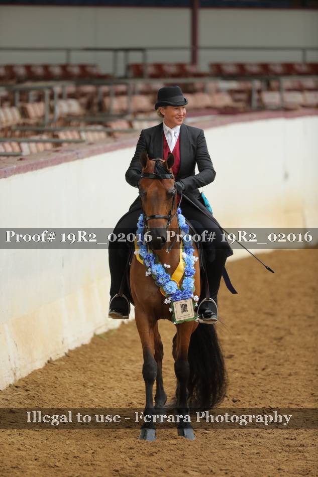 Proof 19R2_02016