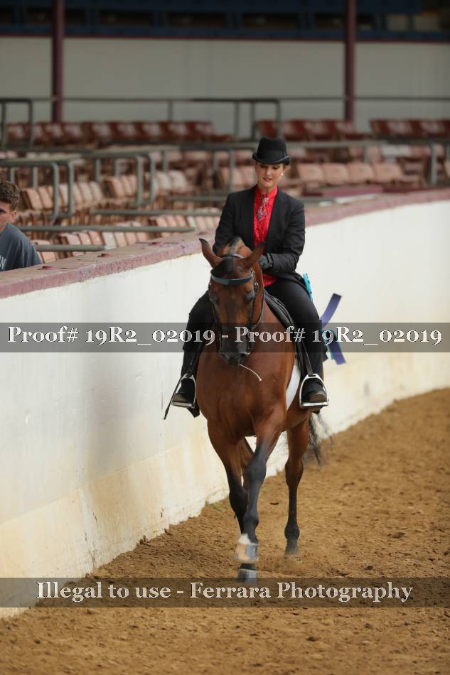 Proof 19R2_02019
