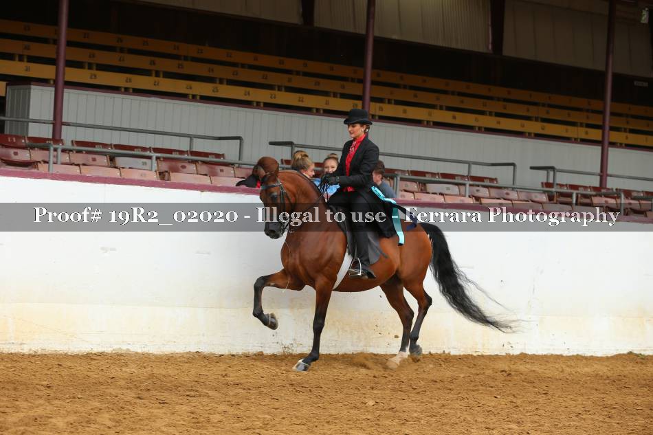 Proof 19R2_02020