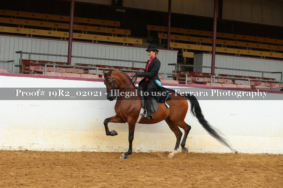 Proof 19R2_02021