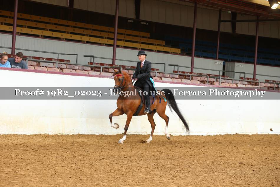Proof 19R2_02023