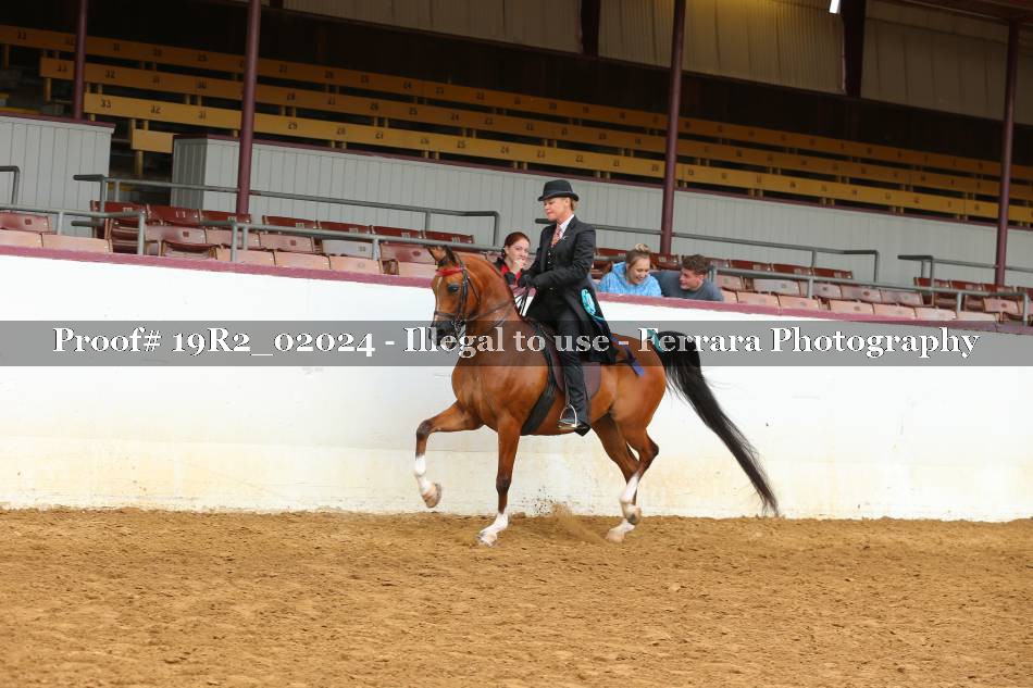 Proof 19R2_02024