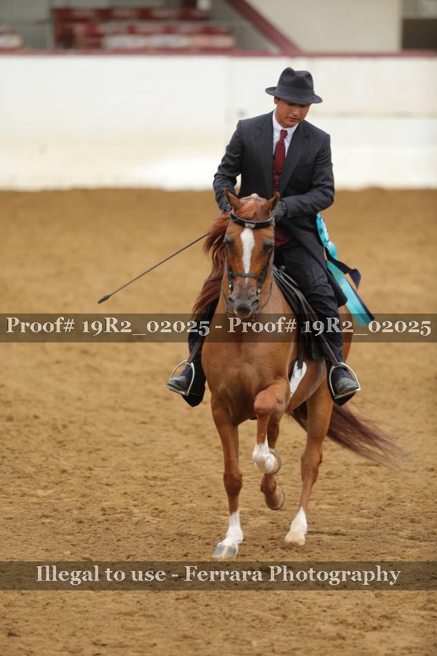 Proof 19R2_02025
