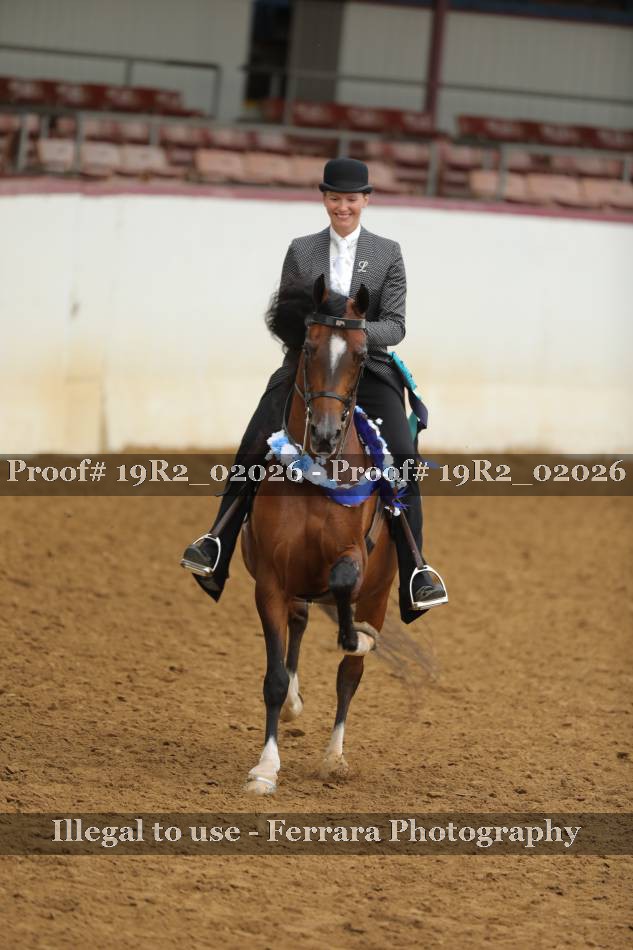 Proof 19R2_02026
