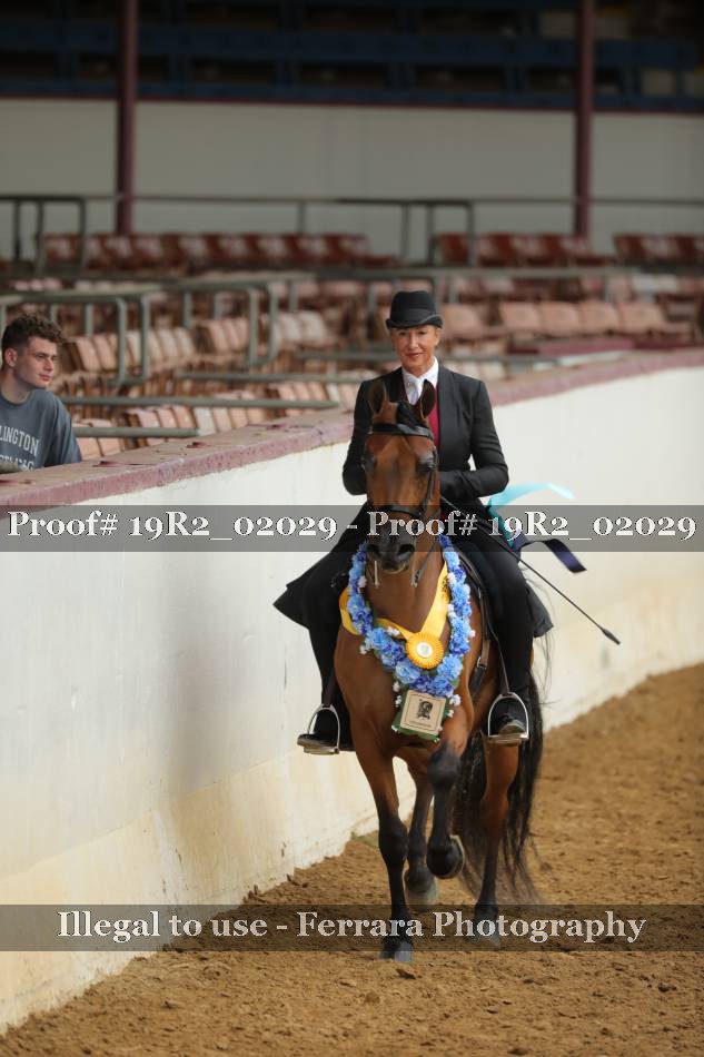 Proof 19R2_02029