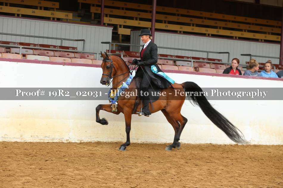 Proof 19R2_02031