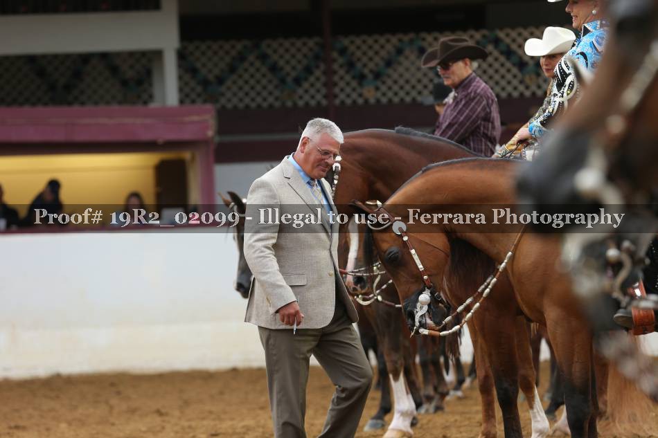 Proof 19R2_02099