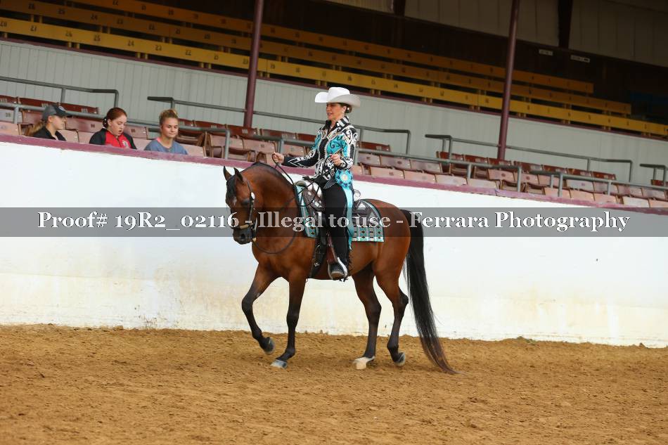 Proof 19R2_02116