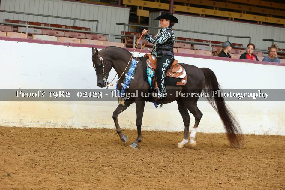 Proof 19R2_02123