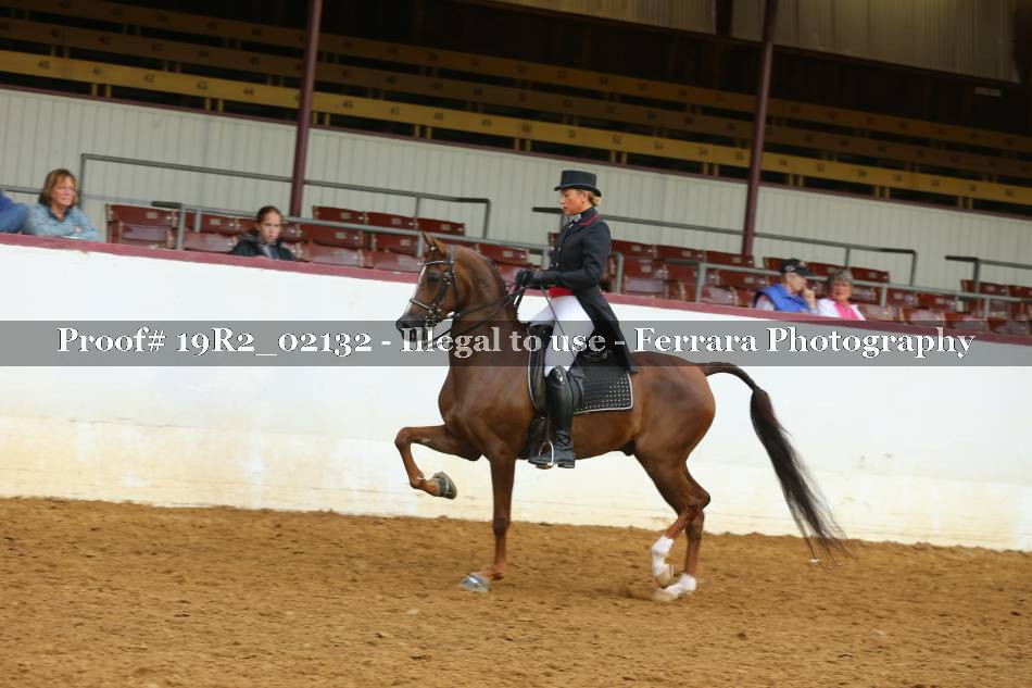 Proof 19R2_02132