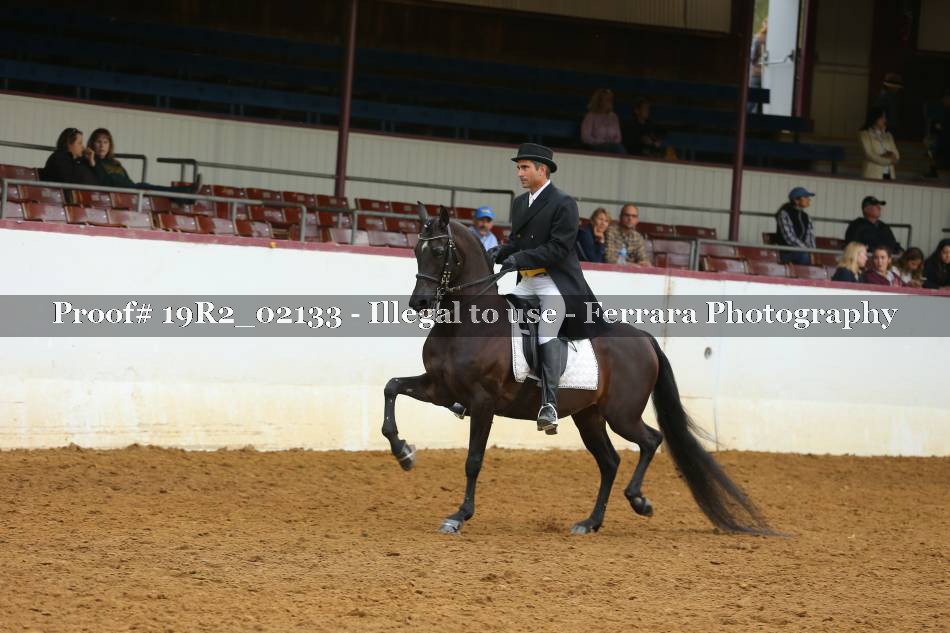 Proof 19R2_02133